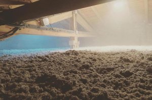 Isolation combles perdus : ouate de cellulose